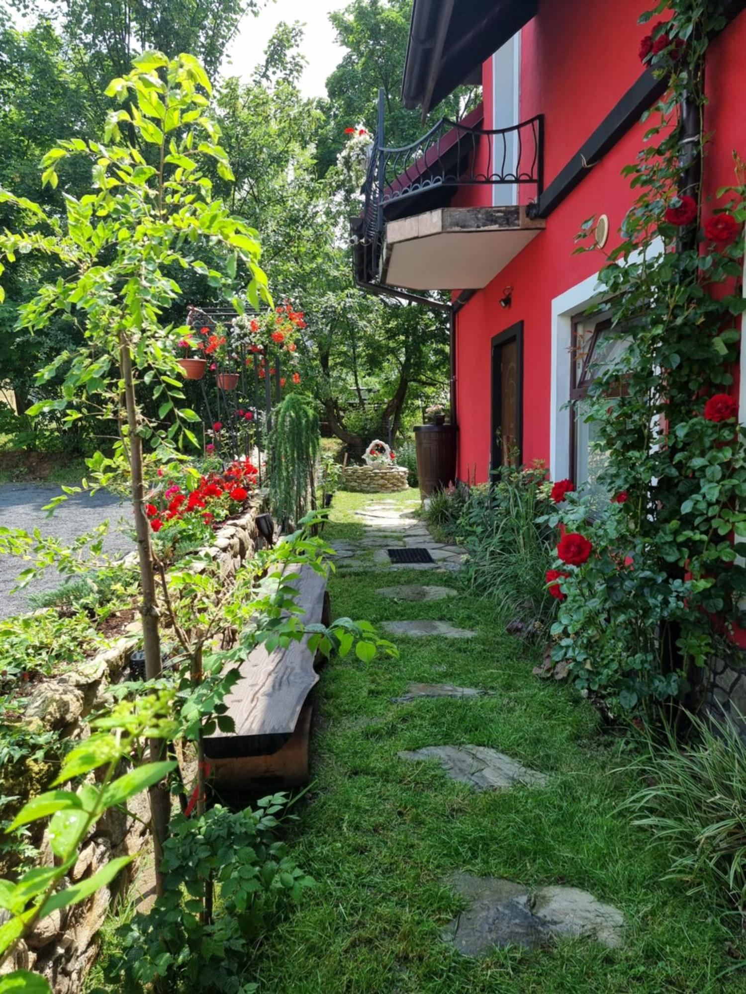 Apartamenty U Bodzia Stronie Slaskie Exterior photo